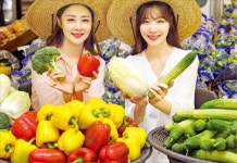 강원도 우수 농산물 맛보세요