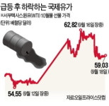 사우디 이달 내 완전 복구…치솟던 유가 급속 진정