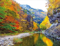 유네스코 문화유산 등재된 경북의 서원 둘러볼까