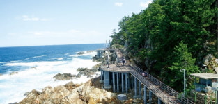 해안 절경과 출렁 다리에 내 마음도 심쿵