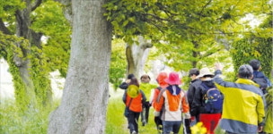 김환기 예술을 키운 건 저 다도해 풍경과 바람…이제는 두 섬이 만나 하나의 섬이 되었네