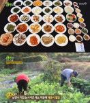 생생정보 보쌈, 간장게장 등 40여 가지 찬이 무제한.. 푸짐한 보리밥 뷔페,위치는?