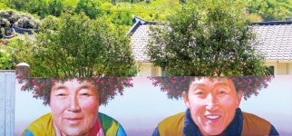 천사대교 덕에 뭍이 된 암태도, 동백 빠마 벽화 부부를 아시나요