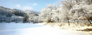 경기 포천, 눈꽃이 피다…웃음꽃이 핀다