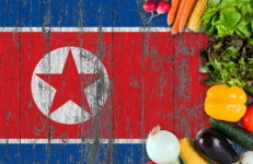 캄보디아 북한 식당 모두 폐쇄…유엔 안보리 결의 이행 차원