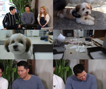 '개훌륭' 강형욱 
