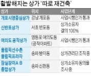아파트 빼고 가자…상가 따로 재건축 활발