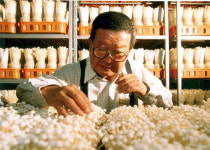 퇴임 후 시골 농부로 돌아간 구자경 LG 명예회장 (2003년 한경 인터뷰 上)