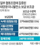 정부 보조금 따내자…특혜·편법으로 얼룩진 태양광사업