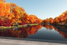 서울시 국회대로 지하화 나선다…상부에는 서울광장 8배 선형공원 조성