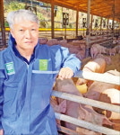 스트레스 없는 豚…동물복지 축산물 시장 이끌다
