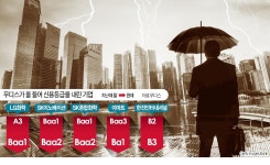 카나리아의 경고 잊었나…기업 신용위험 8년 만에 최고로
