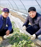 30년 종자 전문가, 농산물 가공에 뛰어든 까닭