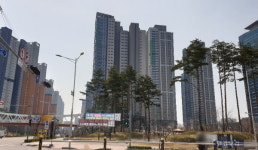 [현장+] 뜨겁다는 송도국제도시, 아파트부터 오피스텔까지 분석해봤습니다