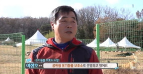 안락사 없다고 소문난 착한 보호소의 비극…전국에서 유기하러 와