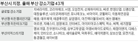 부산, 우수中企 43곳 글로벌기업으로 키운다