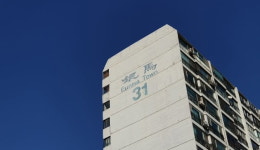 "내 집인데 강제 청산된다니…" 은마아파트 집주인들 '패닉' [집코노미]