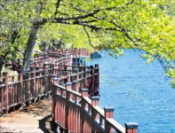 트레킹 마니아들 최고의 수변길…두 배 더 짜릿한 전남 장성 출렁다리