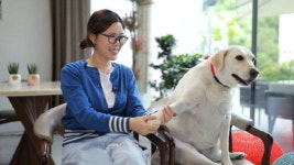 나아개 채리나, 반려견 영순이 장폐색 위기... 이물질 제거 시술 공개