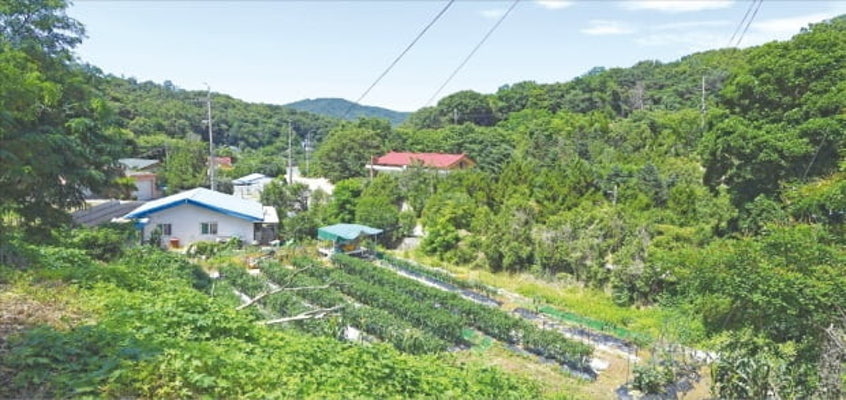 탄력 받는 강남 그린벨트 해제…내곡동 예비군훈련장 유력 | 포토뉴스