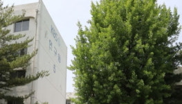 KBS 연구동 여자화장실 몰카 설치 개그맨 구속 기소