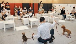 위스테이별내, 별.나.개 워크숍 진행