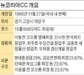M&A 없었는데…뉴코리아CC 경영권, 해성그룹으로 바뀐 까닭