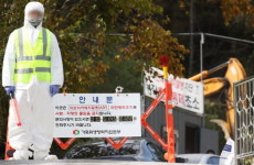 강원도 화천 돼지열병 소식에 동물백신株 강세