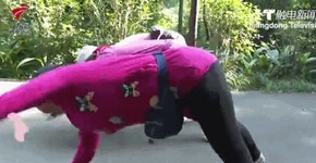 거북이 운동이 건강 비결?…중국 노인들의 이상한 운동 [영상]