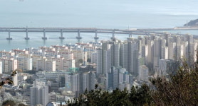 11억 올랐던 부산 삼익비치, 규제 묶이자 3000만원 뚝