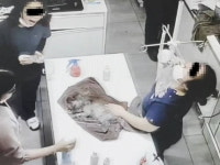 수술 끝난 강아지에 탈취제 뿌리고 폭소…충격의 동물병원