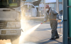 2주만에 전국에 AI 번졌다…가금류 농가 초비상 [종합]