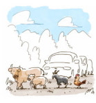 [이 아침의 시] 반려(伴侶) - 김선향(1968~)