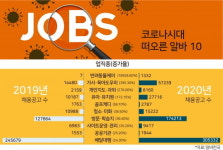 반려동물 케어 급구
