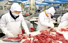 한우 70마리 해체…평소 6배 광속 포장하죠