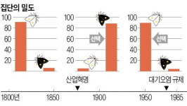 [2022학년도 논술길잡이] 자료를 만나게 되면 원인과 결과를 추론해 보자