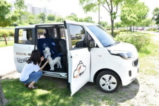 [단독] 카카오, 반려동물 택시 사업 진출…1위 펫미업 인수