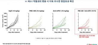 파멥신 PMC-309, PD-1 약물과 병용 시 더 우수한 효과