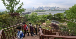 도심 속 자연 숲 용양봉저정 공원 개방