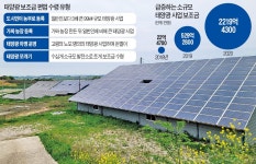 [단독] 보조금 사냥꾼 먹잇감 된 태양광…90세 노모 명의로 사업까지