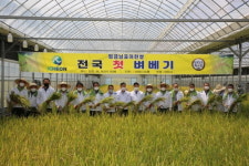 경기 이천시, 올해 전국 첫 벼 베기 행사 호법면 안평리 뜰에서 진행