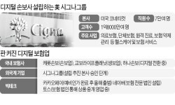 美 시그나, 한국서 디지털손보社 세운다