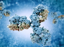 후니즈 IgY항체, 비강 섬모상피세포 감염 사전차단 기대