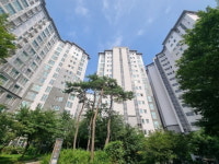 전셋값 6000만원 껑충…계양 끝동네마저 이럴 줄 몰랐다 [현장+]