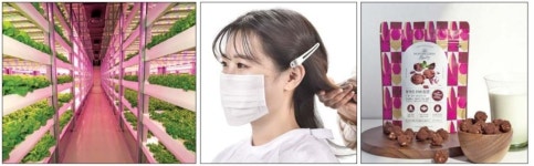 포미트, 중동에 스마트팜…링프리, 日에 끈없는 마스크