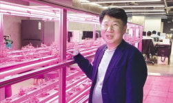 서울 남부터미널역에 식물농장…채소·허브 6배 빨리 자랍니다