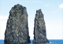 굽이굽이 숲길에 탁 트인 전망…걸어야 보인다 울릉도 100%