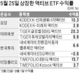 액티브 ETF, BBIG 잘나가네