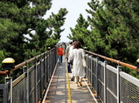 먹물빛 갯벌 금가루 태양…내맘島 고요海