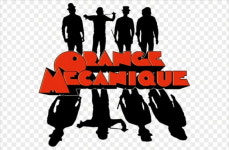 [이근미 작가의 BOOK STORY] 폭풍 같은 사춘기, 선택에 따라 결과가 달라진다